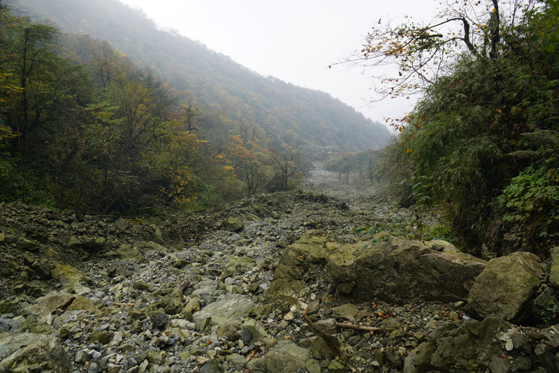 100g1900000178dw51E2E_R_800_10000_Q90.jpg?proc=autoorient