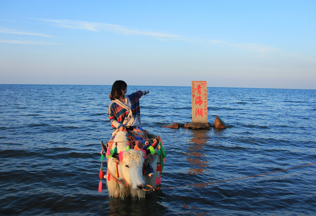 八月,青海湖與你不見不散