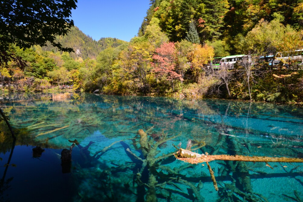 成都~九寨溝~神仙池童話之旅