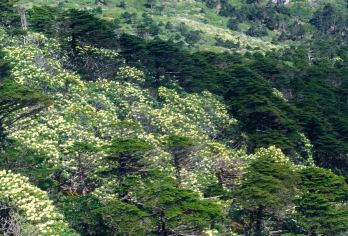 苍山玉带路徒步+寂照庵斋饭+喜洲古镇  精致小团 纯玩无购物【苍山十九峰，巍峨雄壮，与秀丽的洱海风光形成强烈对照】