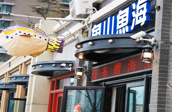 鱼山鱼海钓鱼俱乐部
