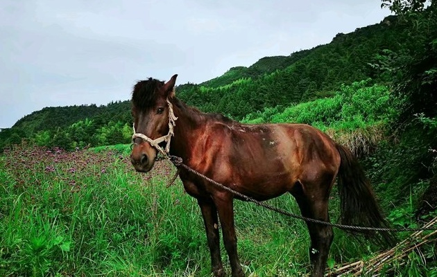 黄岩旅游度假区