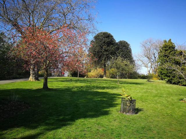 格拉斯哥glasgow Botanic Gardens游玩攻略简介 格拉斯哥glasgow Botanic Gardens门票 地址 图片 开放时间 照片 门票价格 携程攻略