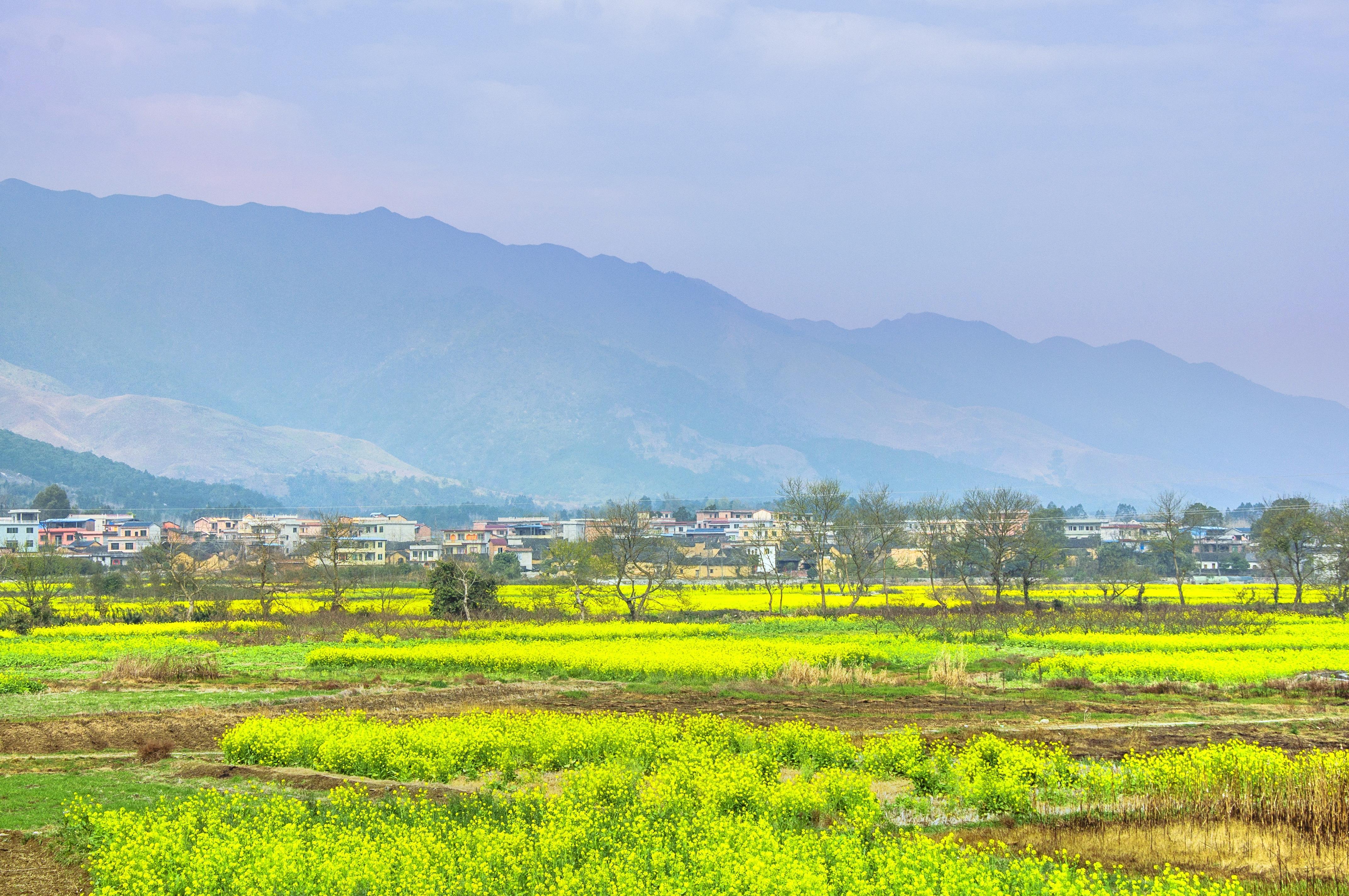 熊村