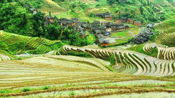 shutterstock_193728194