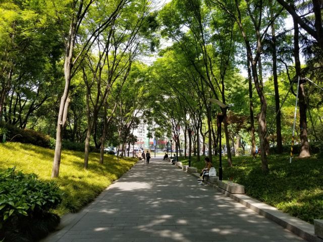 【携程攻略】延安公园门票,上海延安公园攻略/地址/图片/门票价格