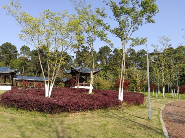 蕪湖睿鷹戶外運動(神山公園)攻略,蕪湖睿鷹戶外運動(神山公園)門票