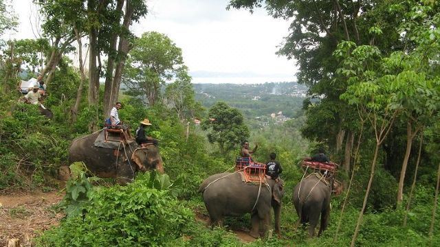 泰国普吉岛 海景大象营地骑大象 Phuket Elephant Ride