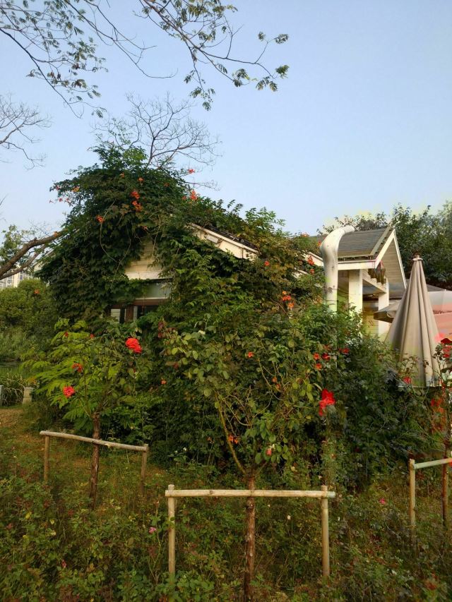 宜兴紫泥公社攻略,宜兴紫泥公社门票/游玩攻略/地址/图片/门票价格