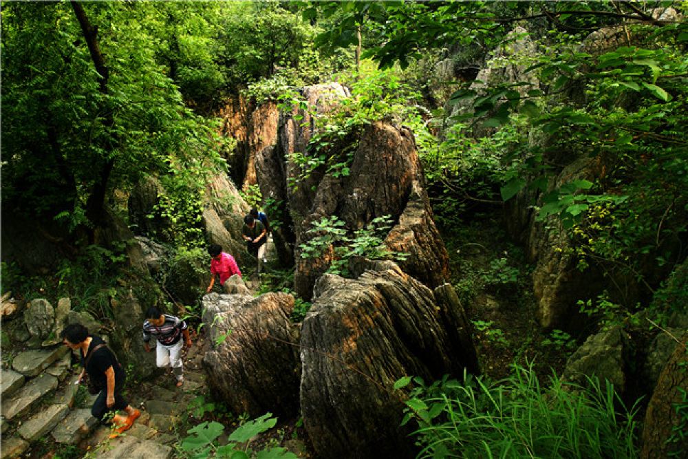 八公山風景區國家地質公園焦崗湖國家溼地公園一日遊淮南八公山焦崗湖