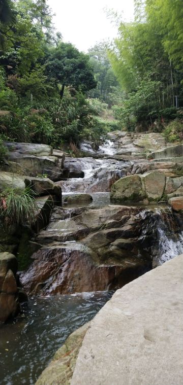 岳阳县相思园攻略,岳阳县相思园门票/游玩攻略/地址/图片/门票价格