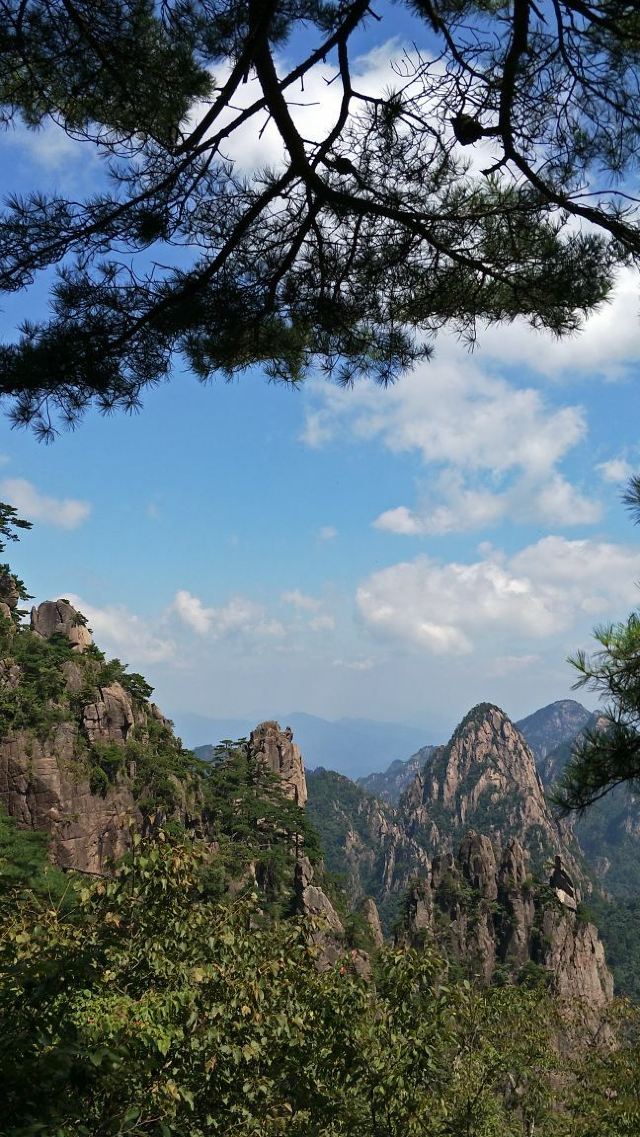 黄山风景区紫石峰攻略,黄山风景区紫石峰门票/游玩攻略/地址/图片