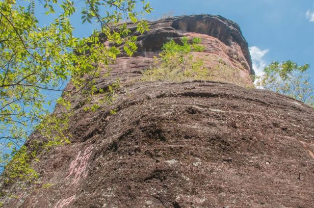 瑞金蜡烛峰攻略,瑞金蜡烛峰门票/游玩攻略/地址/图片/门票价格【携程
