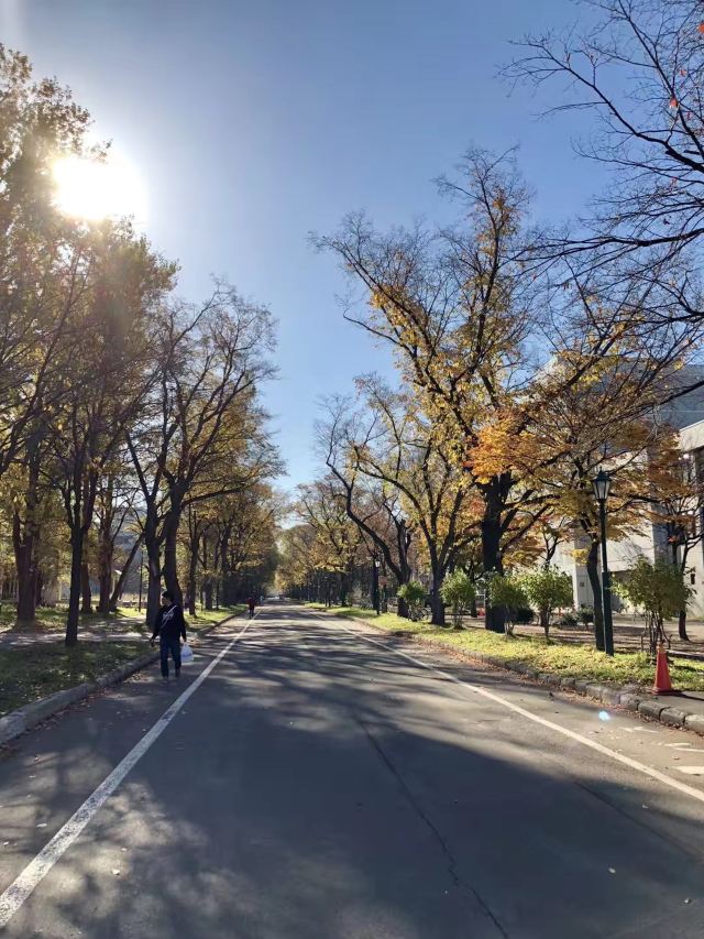 东京青山学院大学攻略 东京青山学院大学门票 游玩攻略 地址 图片 门票价格 携程攻略