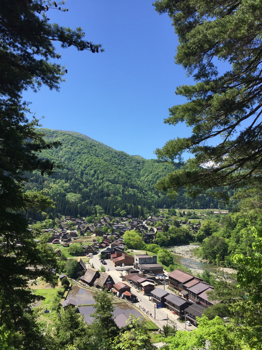 白川乡合掌村