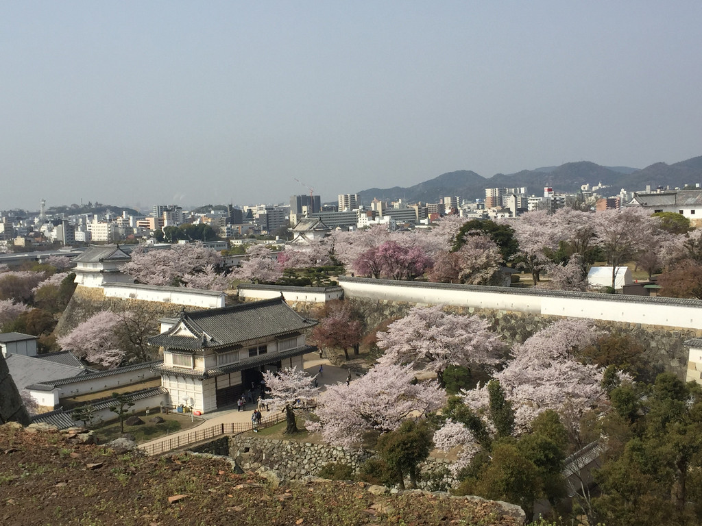 日本我來啦!大阪,奈良,神戶,姬路城,京都9日深度遊,美照美景無數