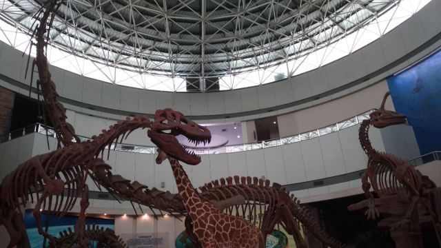 福建博物院自然馆