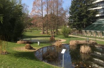 弗赖堡botanischer Garten Der Universitat Freiburg攻略 弗赖堡