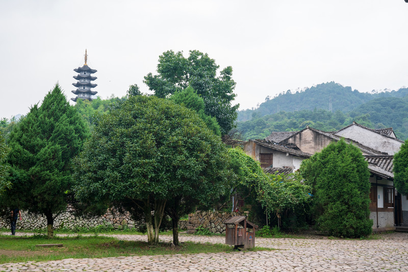 自驾鱼米之乡，浙里有点意思：宁波-舟山-台州-温州