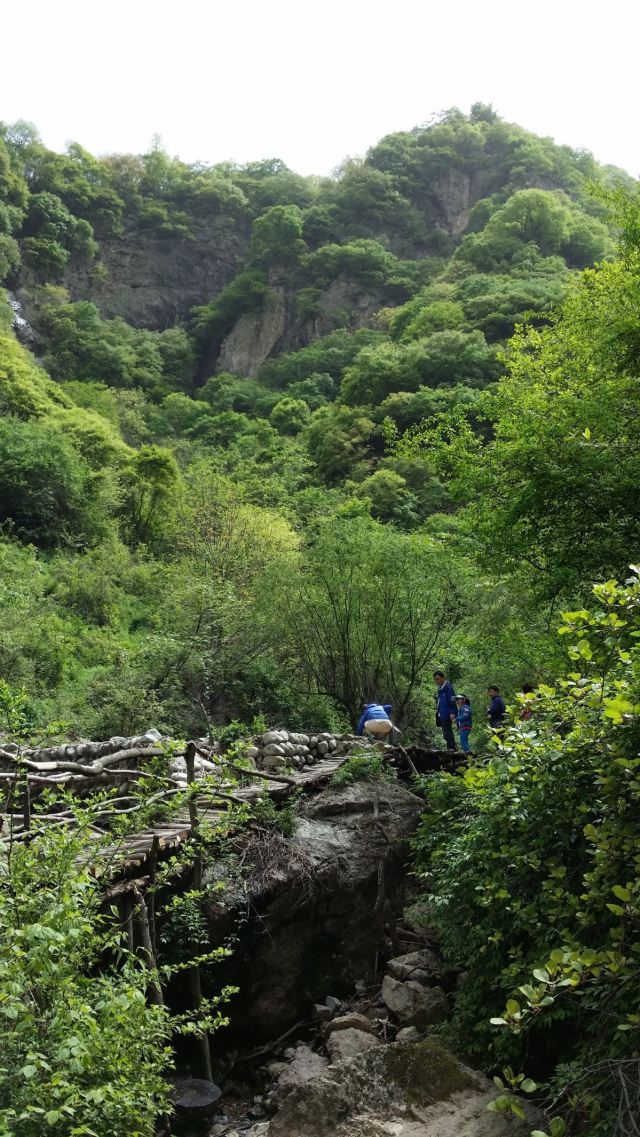 药王谷景区