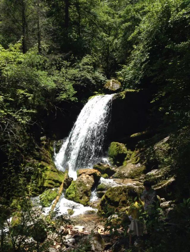 泸沽湖阿夏幽谷攻略,泸沽湖阿夏幽谷门票/游玩攻略/地址/图片/门票