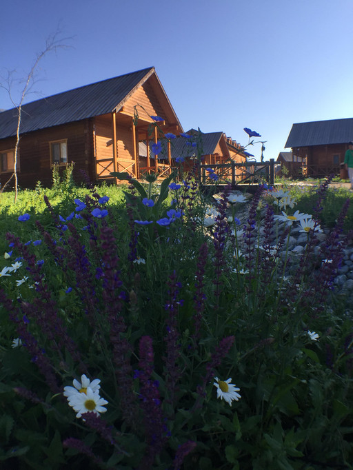 喀纳斯禾木山庄