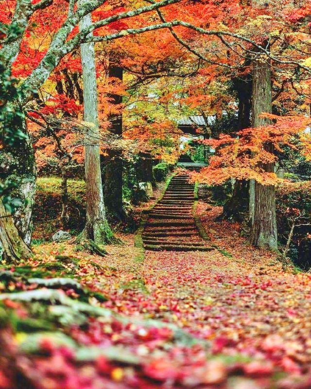 笠置山红叶公园