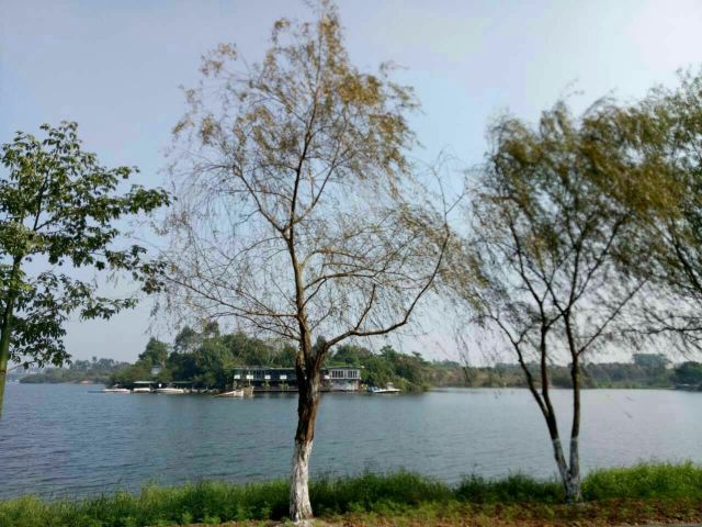 松湖蝶恋生态园