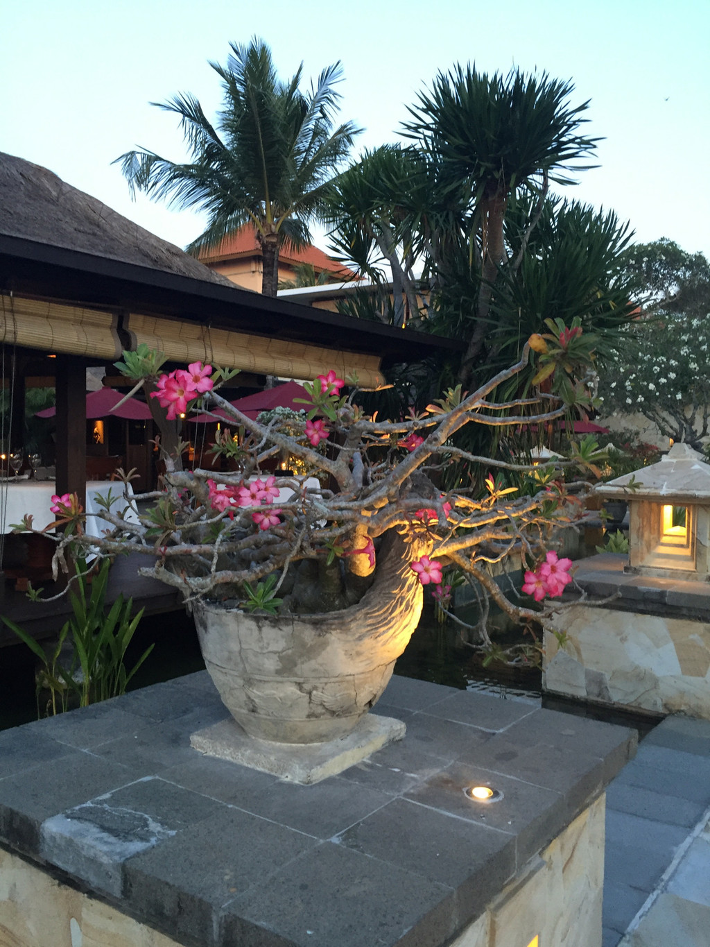 ayana resort and spa bali (巴厘島阿雅娜水療度假酒店)