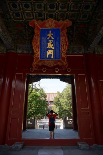 大邦之美树,京城12处名槐古木