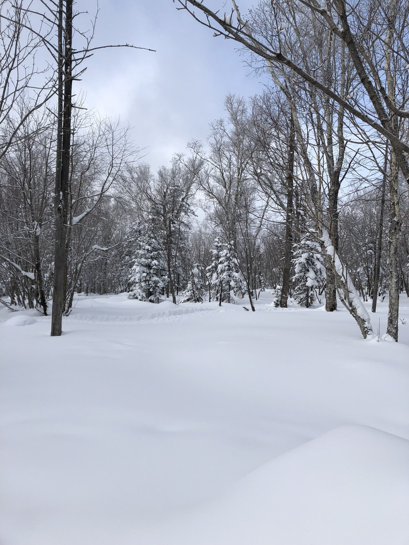 你想不想堆个雪人简谱_宝宝幼儿园 你想不想堆个雪人