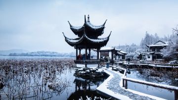 杭州冬季曲院风荷雪 景