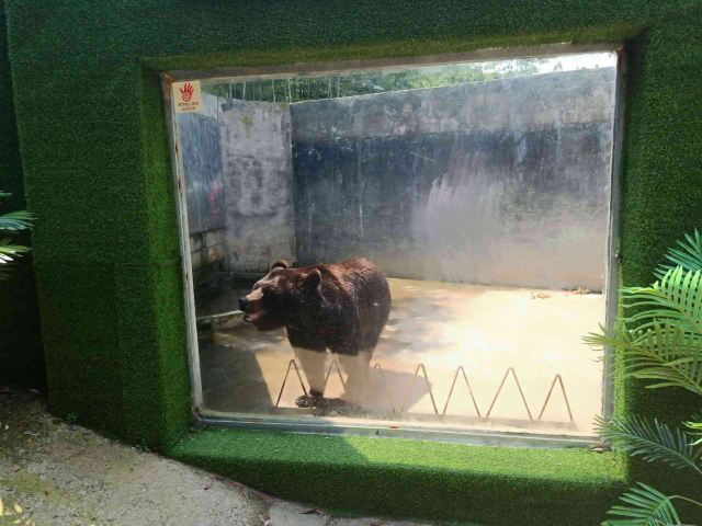 嵊州虎居动物园