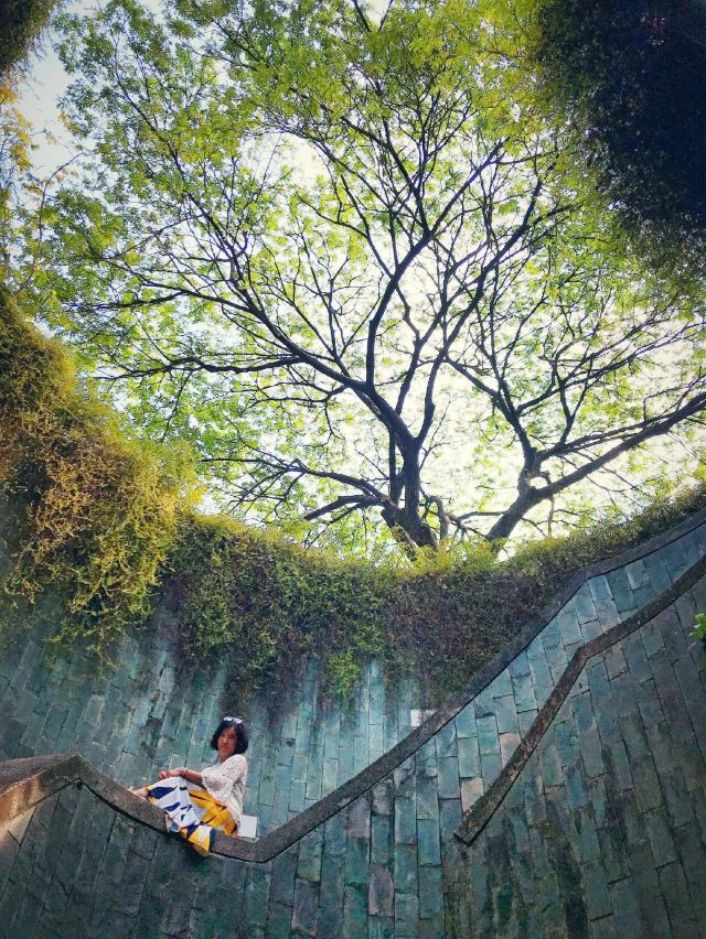 新加坡福康宁公园游玩攻略简介,新加坡福康宁公园门票/地址/图片/开放时间/照片/门票价格【携程攻略】