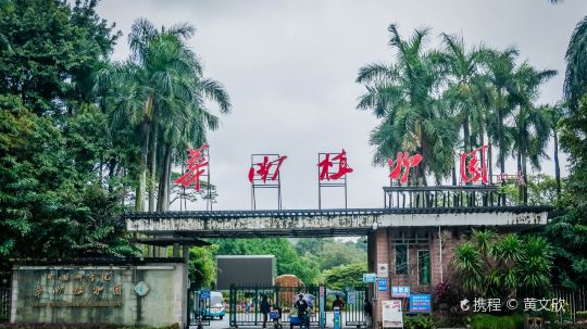 广州_华南植物园-2
