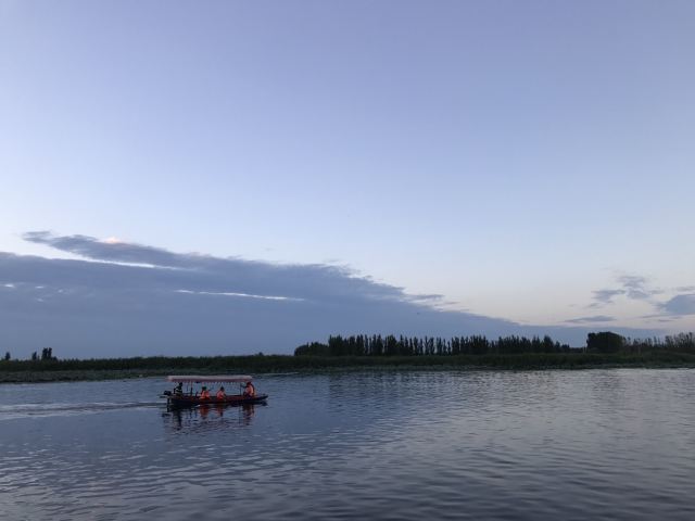 烧车淀(白洋淀湿地)