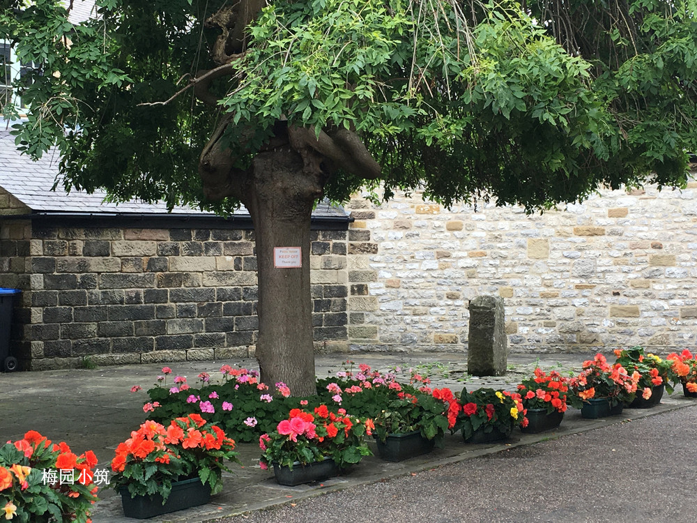 满庭无路花纷纷 英国峰区国家公园贝克威尔 Bakewell 小镇 峰区游记攻略 携程攻略 满庭无路花纷纷 英国峰区国家公园贝克威尔 Bakewell 小镇 峰区游记攻略 携程攻略
