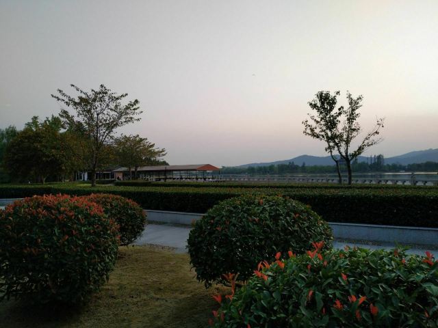 凹子底森林公园