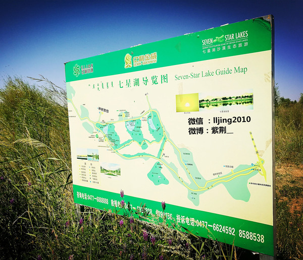 七星湖景区内满眼绿色, 植物生长旺盛,绝对是沙漠中的绿洲.