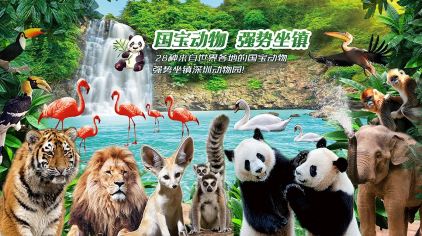 深圳野生动物园 (5)
