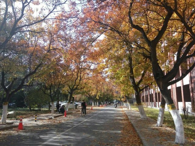 北京大学医学部中心花园