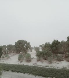 若羌游记图文-穿越天山，让心飞翔，壮美的旅行，大美的新疆！（七）