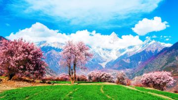hellorf_2235032292
