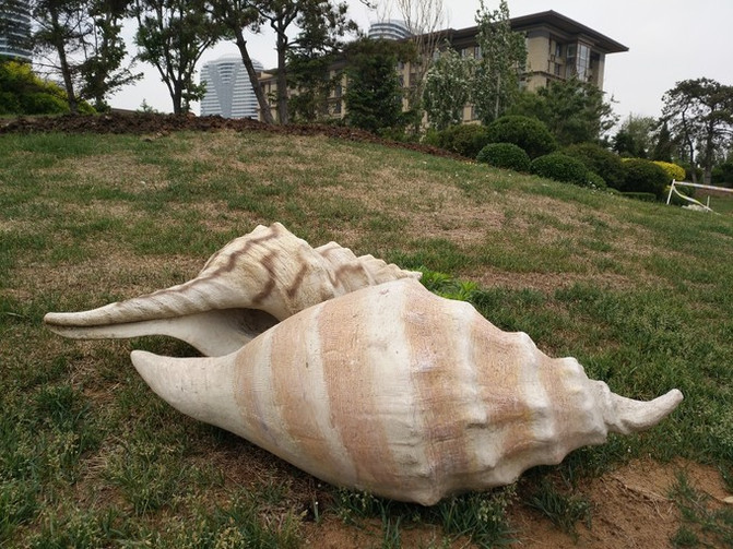 端午节东戴河海边穿什么衣服,能下水吗?