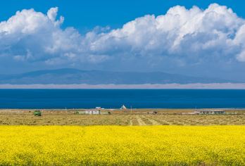 青海湖+日月山+茶卡盐湖一日游【上门接送小团 头等舱大巴团】【青海旅游协会副会长单位、十佳旅行社、十佳运管单位、专注纯玩品质游无购物，期待眼光独到的你与我们相遇！】