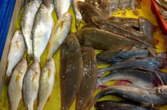 连江黄岐海鲜吧攻略,黄岐海鲜吧特色菜推荐/菜单/人均消费/电话/地址