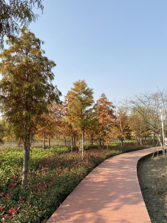 【携程攻略】延安公园门票,上海延安公园攻略/地址/图片/门票价格