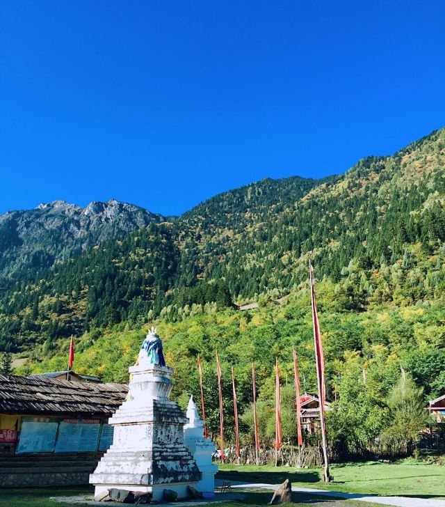 九寨沟中查沟攻略,九寨沟中查沟门票/游玩攻略/地址/图片/门票价格