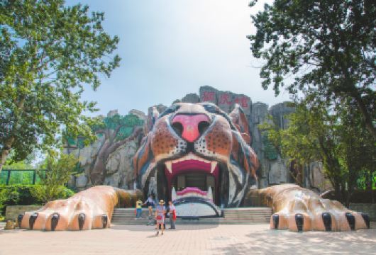 天津动物园+天塔湖+五大道+水上公园 包车一日游│8小时包车【全程包车、天津市区上门接送、省心、省时、省力！】