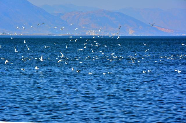 纳西风情的慵懒时光 - 云南游记攻略